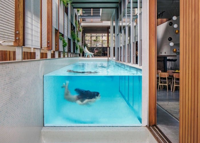 glass walled pool.jpg