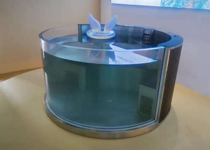 Plunge Pools