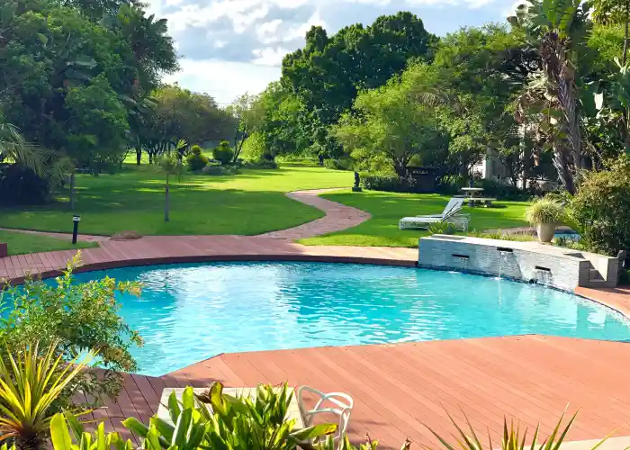 Natural Pools: A Backyard Oasis