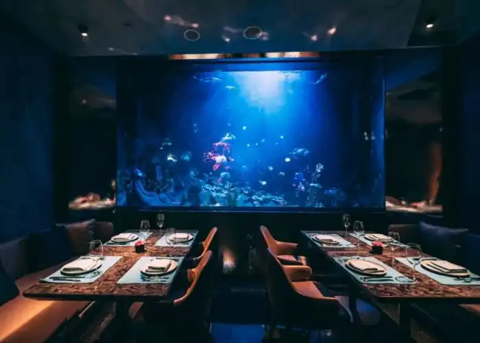 Underwater pool window